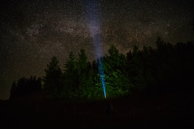 星夜下的树影